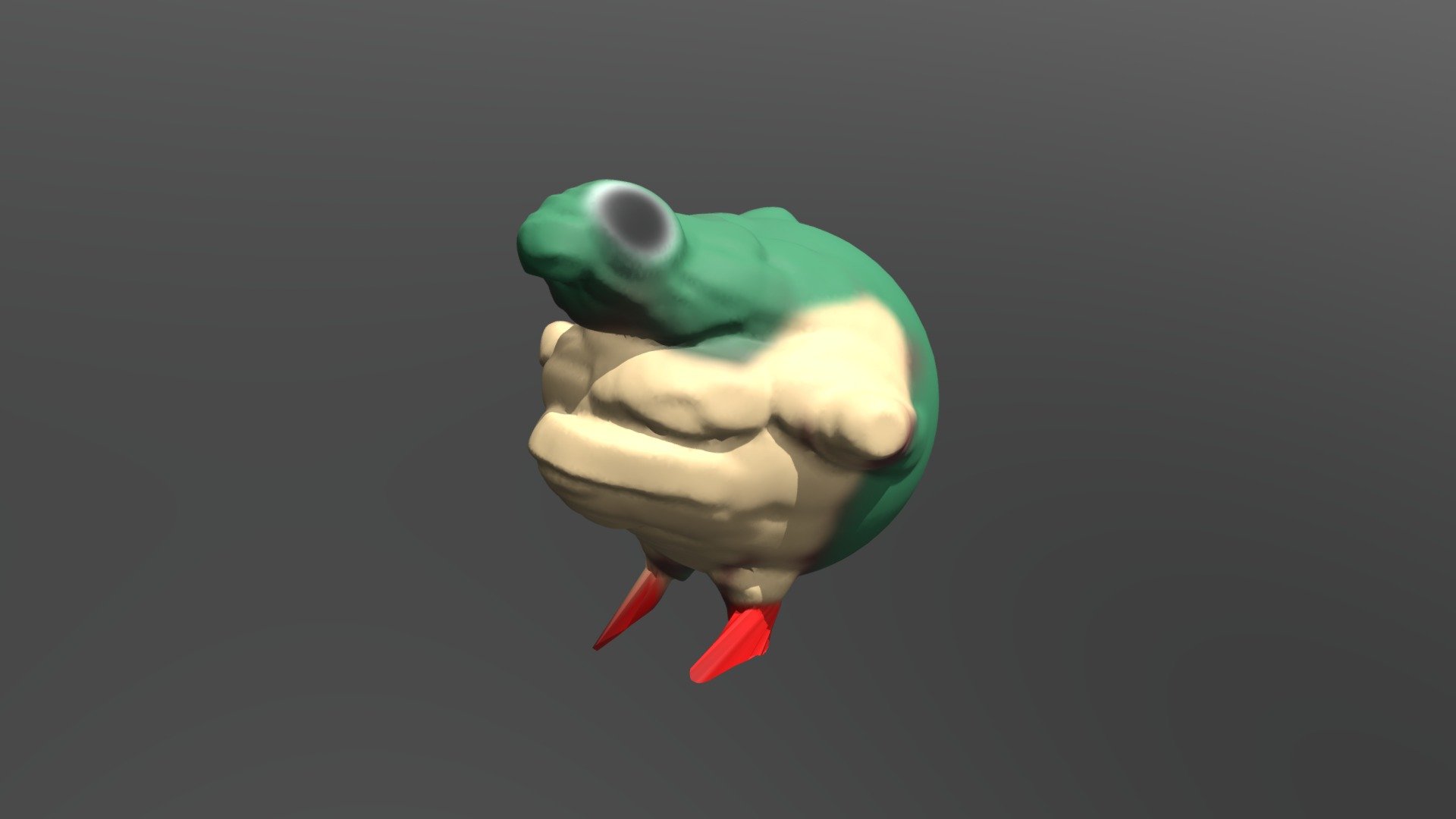 Turtle Friend