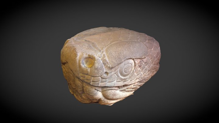 Cabeza 3D Model