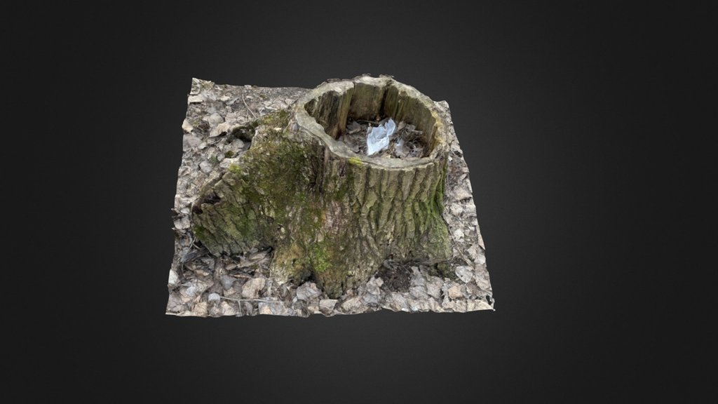 Treestump photogrammetry