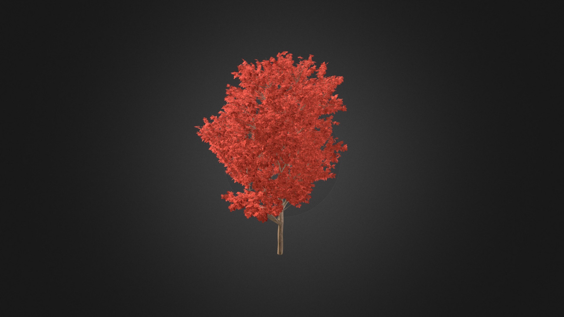 3D model Red Oak (Quercus rubra L.) 10.8m - This is a 3D model of the Red Oak (Quercus rubra L.) 10.8m. The 3D model is about map.