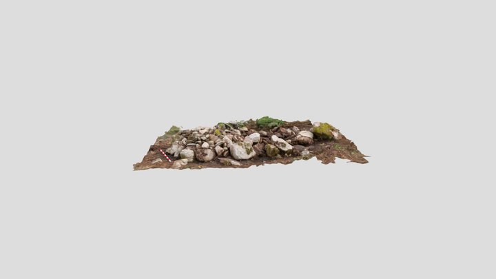 Röjningsröse 3D Model