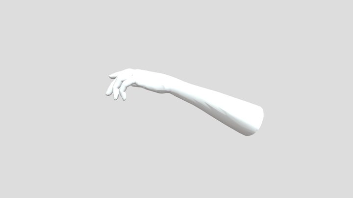 Hand 3D Model