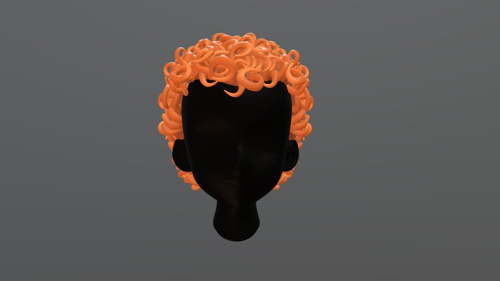 hair 3D Model