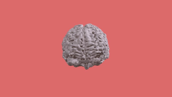 Brain 3D 3D Model