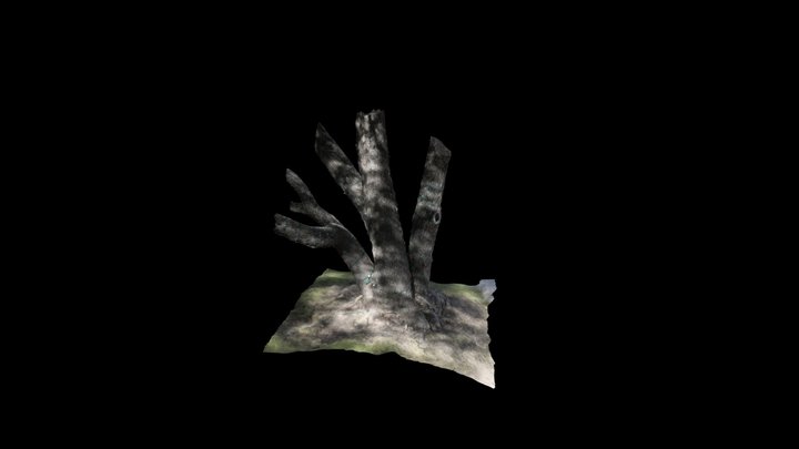 Tree Stump 2 3D Model