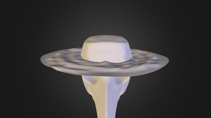 Sketch 2 3D Model