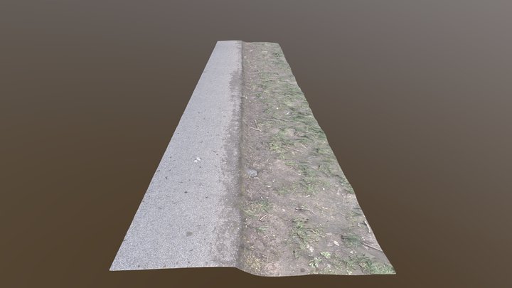 Free baked scan - Surface Transition 3D Model