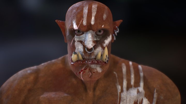 ORC 3D Model