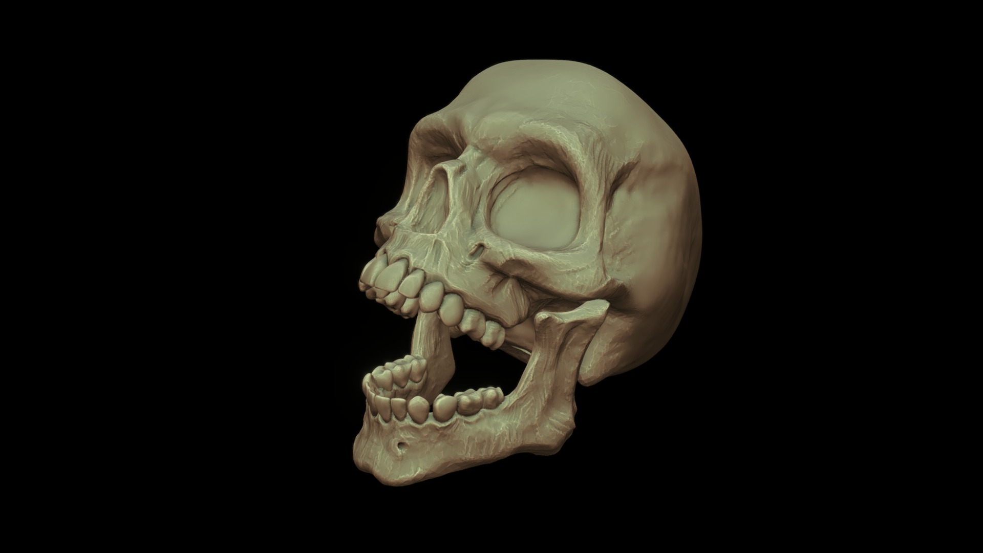 3D model Calavera - This is a 3D model of the Calavera. The 3D model is about a skull with a black background.