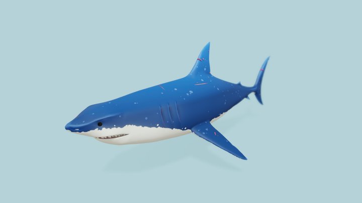 Geat White Animated Shark 3D Model