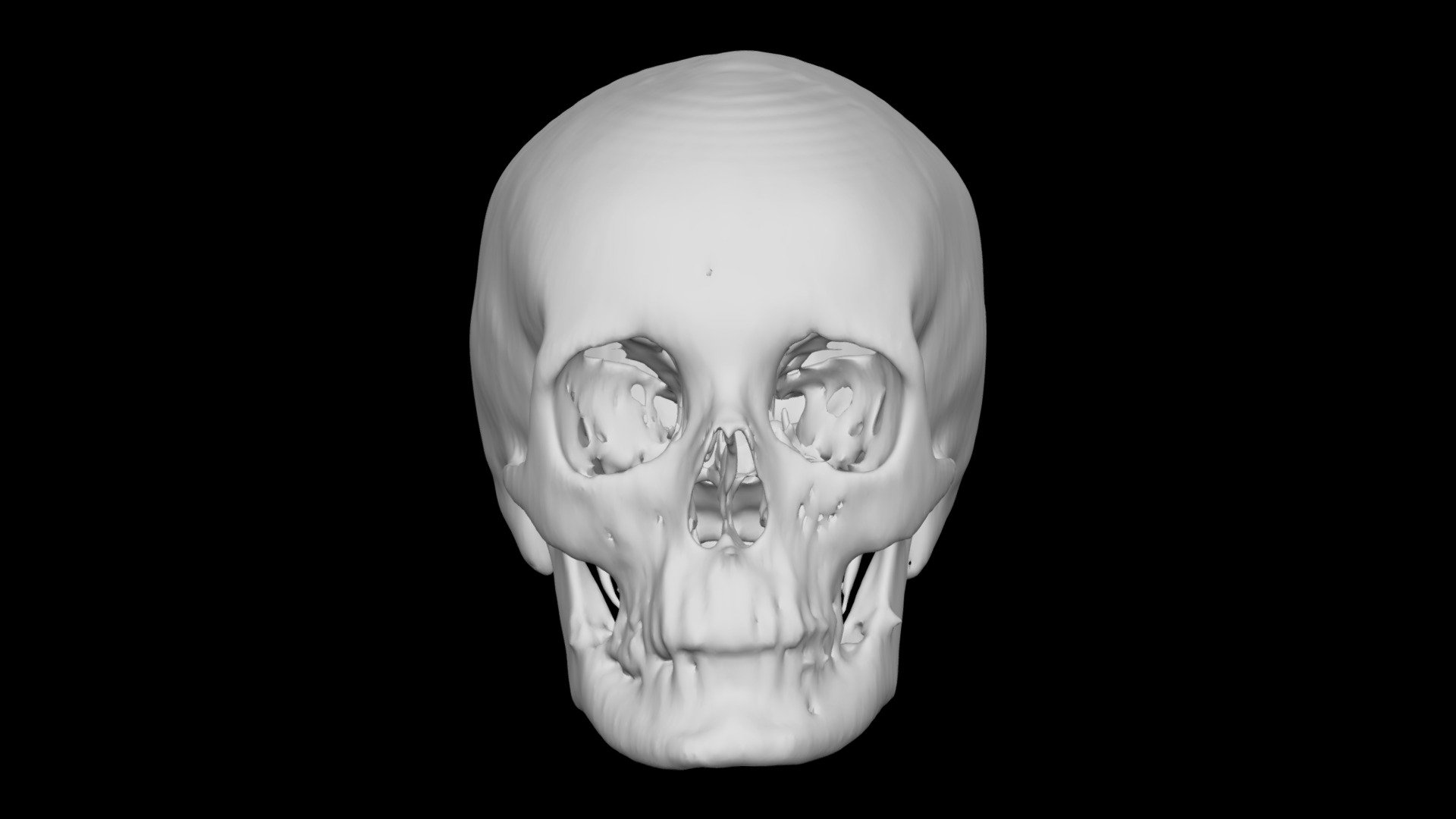 Skull Female no age