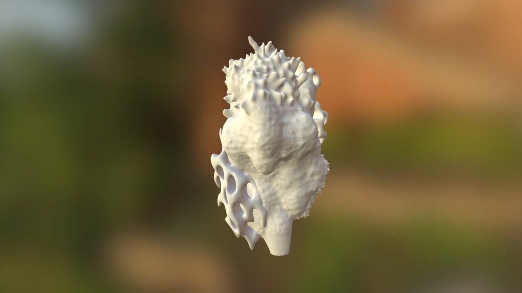 ALIEN SEED 3D Model By Londoncurls 069f566 Sketchfab   1024x576 