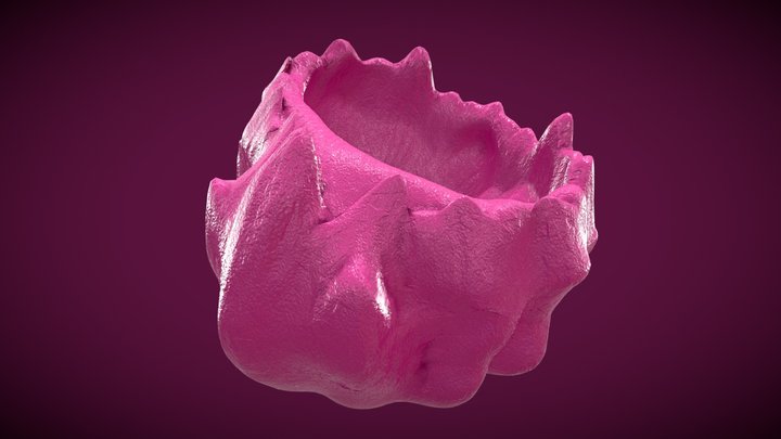 Poodle Hair Popcorn Bucket - 100% Wolf – Modèle 3D gratuit STL