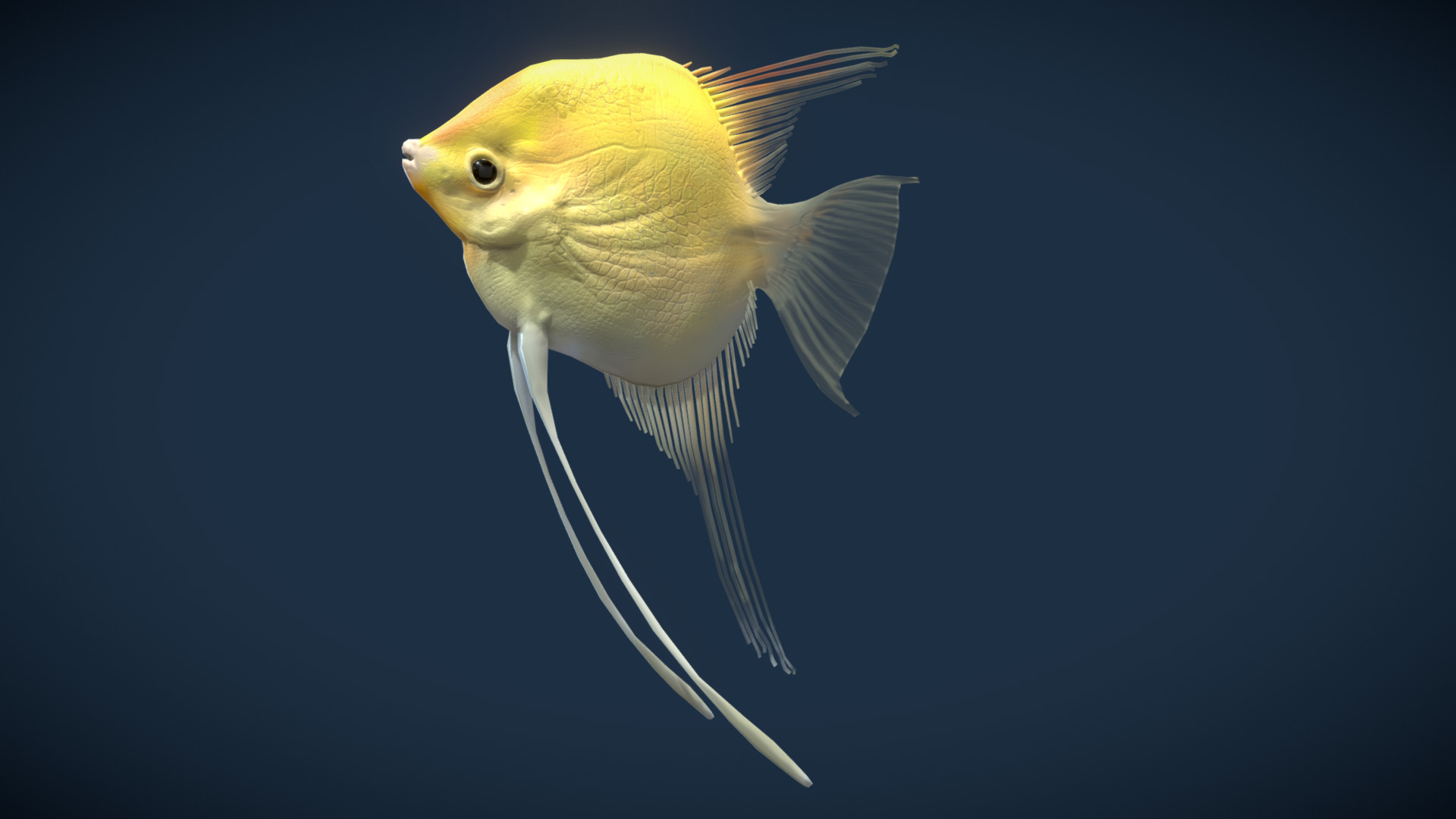 3D model Goldfish (PBR model) - This is a 3D model of the Goldfish (PBR model). The 3D model is about a fish in the water.