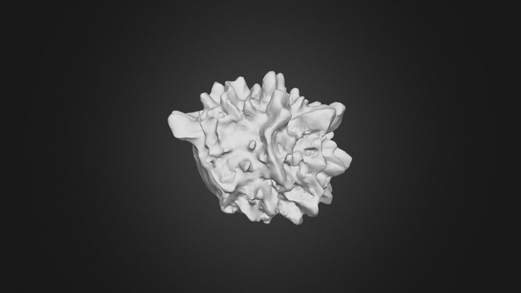 20251124_Hailstone_8
