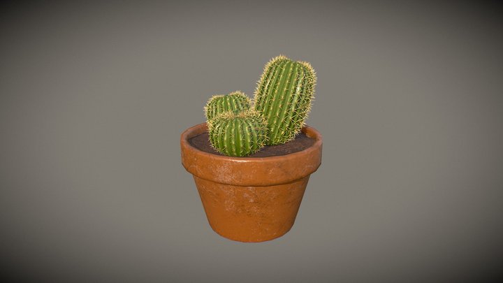 Cactus Pot 3D Model
