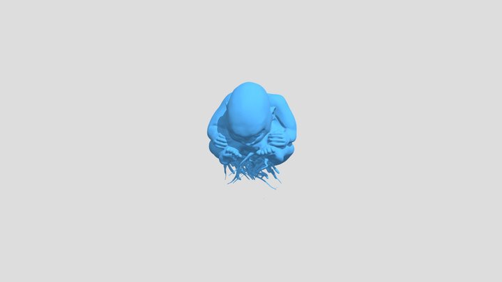reflected blue baby 3D Model
