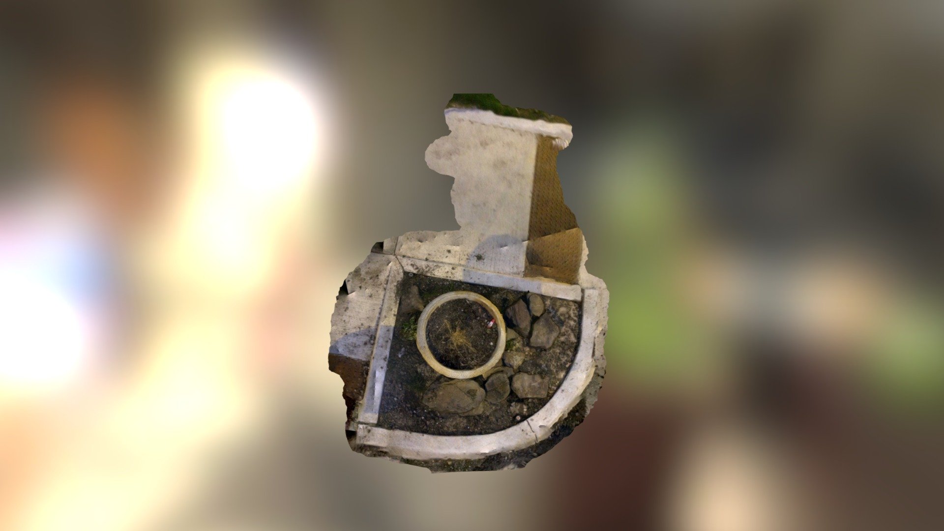 TRNIO Model