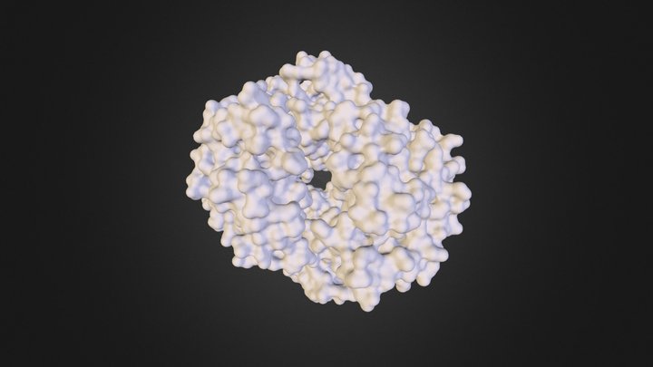 Hemoglobin 3D Model