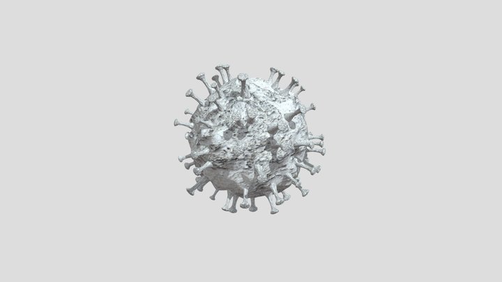 Coronavirus 3D Model