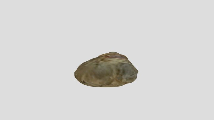 Box 4.4 3D Model