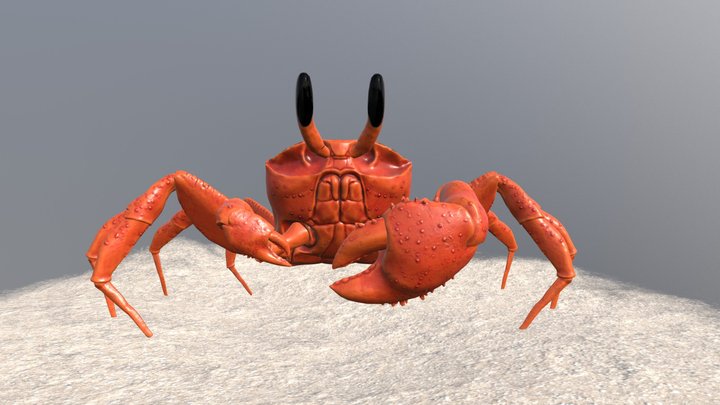 Red Ghost Crab 3D Model