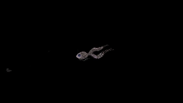 PEIXE - Rafael Jonnier 3D Model