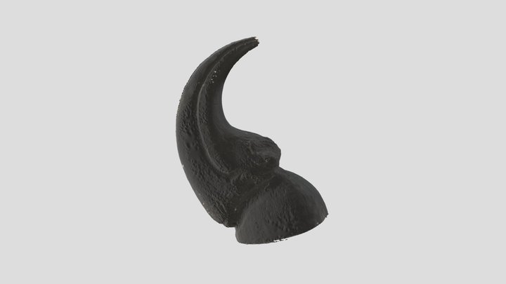 Allosaurus Finger Claw 3D Model