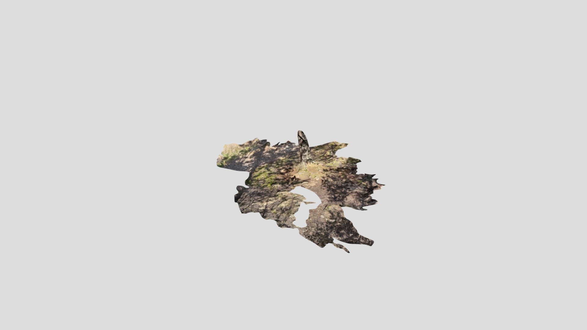 Mossy rocks and a stump