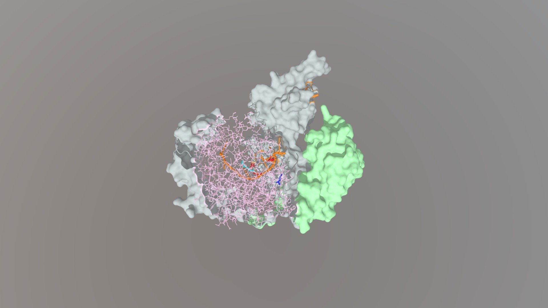 Human Argonaute 1 protein + let-7 miRNA