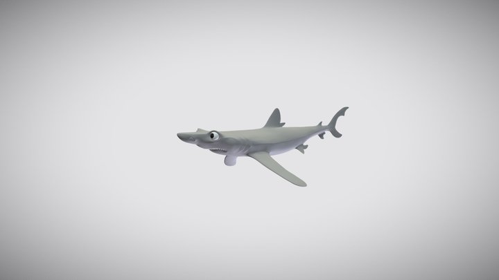 CGC - Blue Shark 3D Model