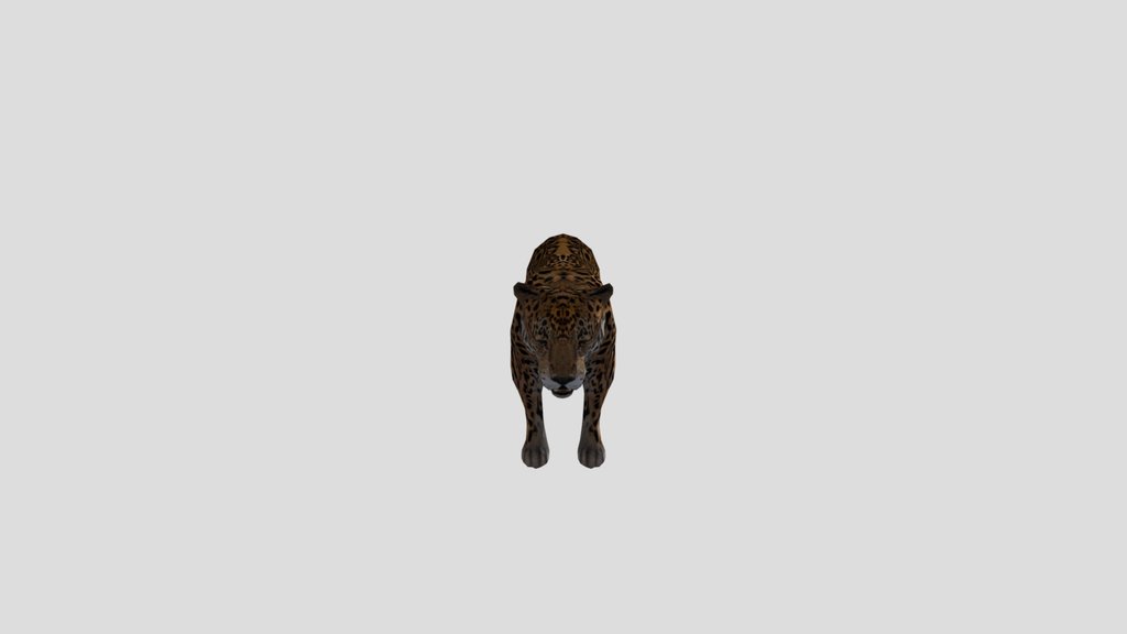 Jaguar