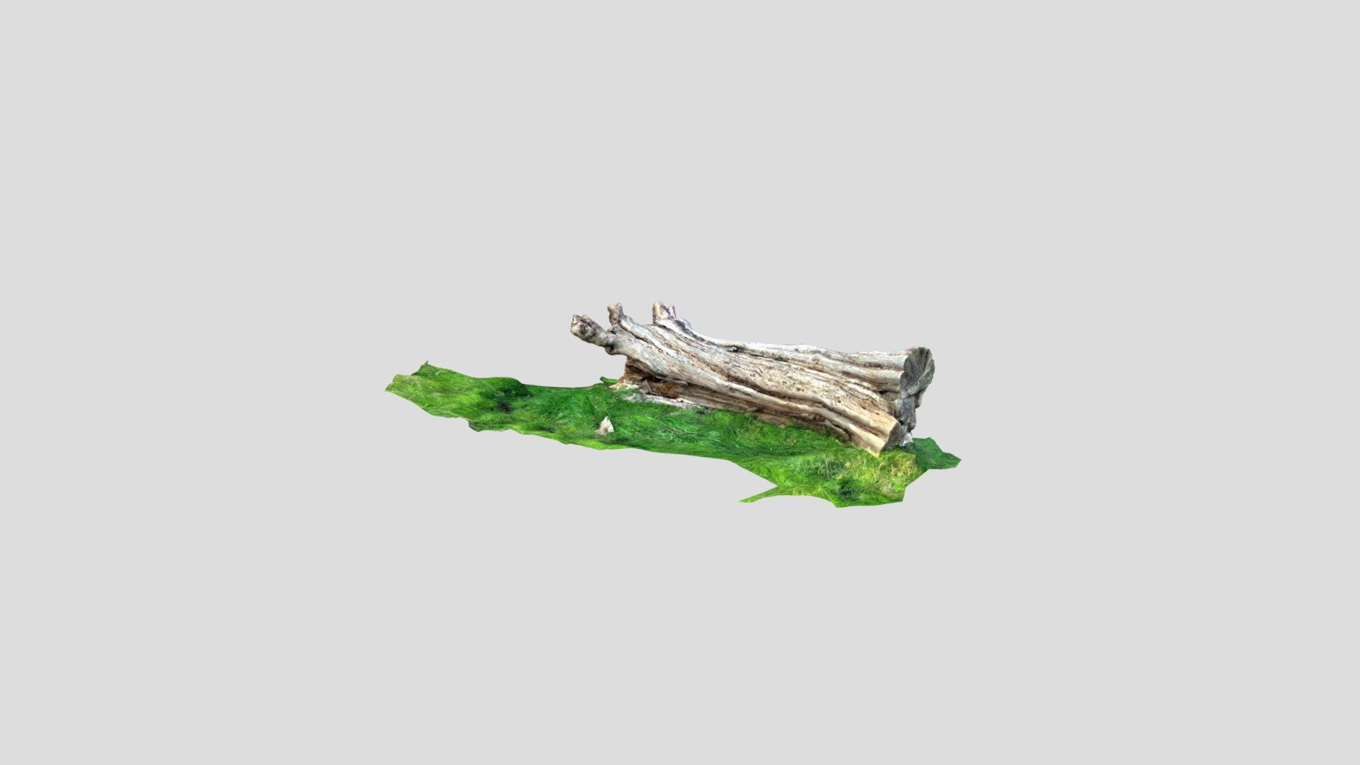STUMP1 - Download Free 3D model by Breakeytech1 (@mbreakey) [06d6b94 ...