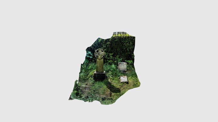 Moseley mesh 3D Model