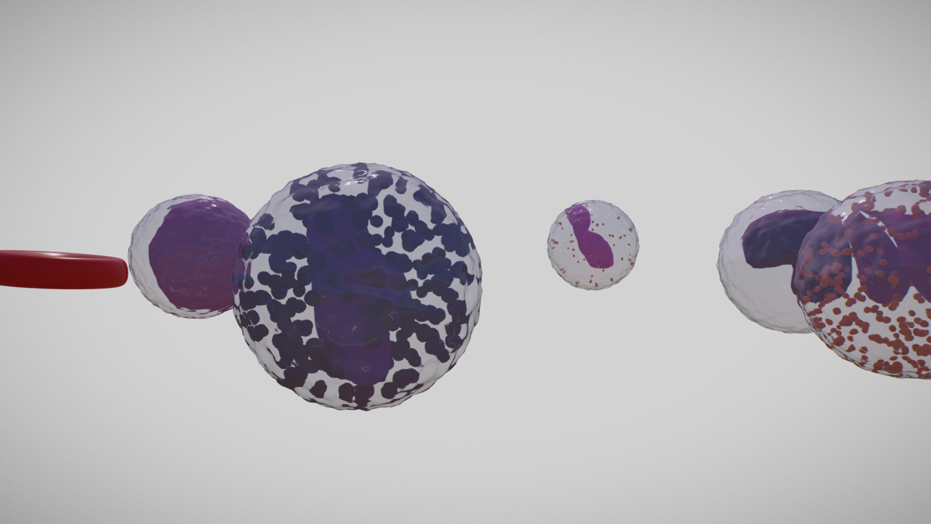 3D model Blood cells - This is a 3D model of the Blood cells. The 3D model is about shape, circle.