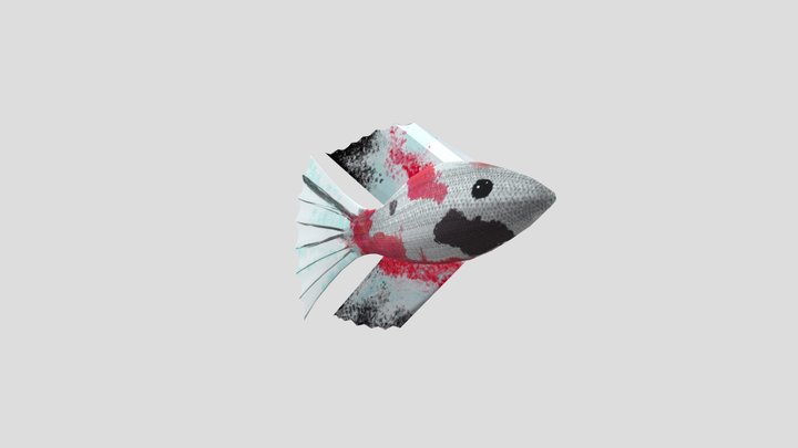 Fishmodel_final 3D Model