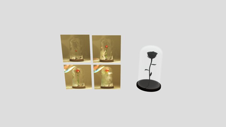 rose grow up 3D Model