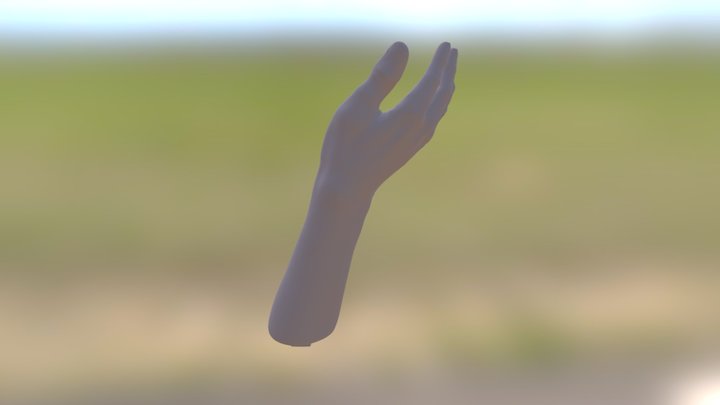 Hand- White 3D Model