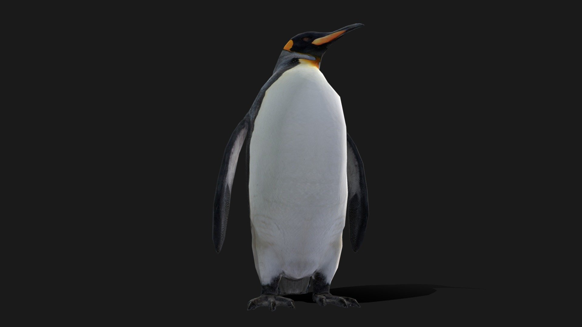 King Penguin Low poly Animated - Buy Royalty Free 3D model by 3D-IDI ...