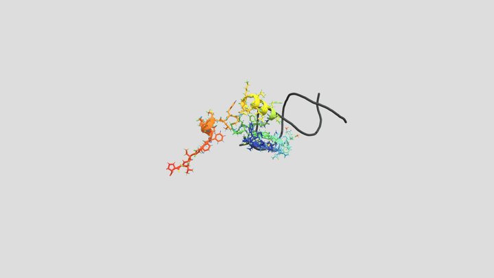 MBD4 3D Model