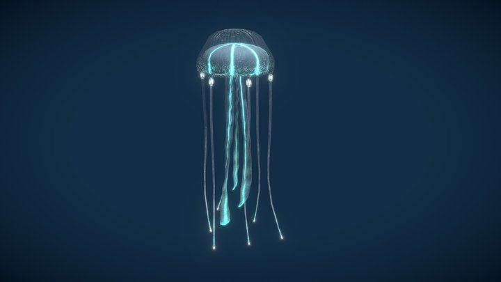 Jellyfish 3D Model