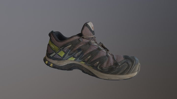 Shoe 500k (vertex colors) 3D Model