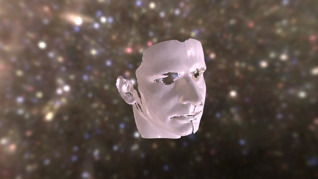 Pawel Waligora Face Skan 3D Model