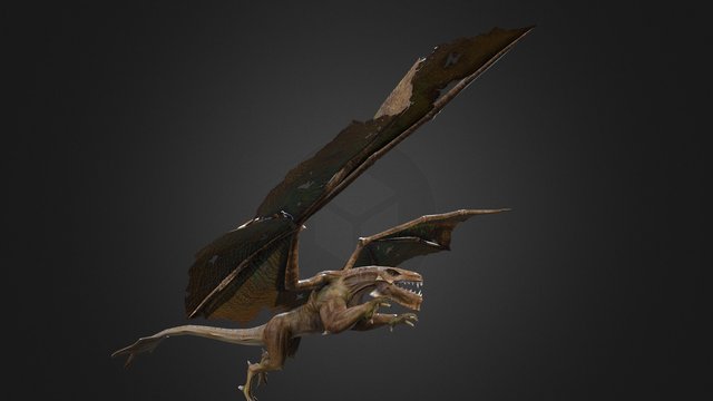 Dragon 3D Model