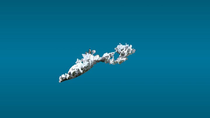 Long Path Scan 3D Model