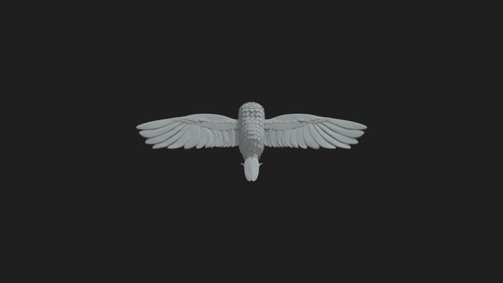 Owl High Model 3D Model