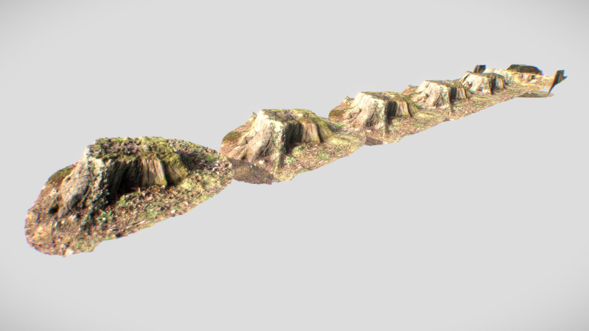 Tree Stump - Photogrammetry & LODs - Download Free 3D model by Gorgious ...
