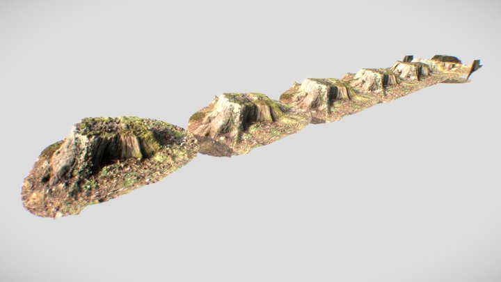 Tree Stump - Photogrammetry & LODs 3D Model