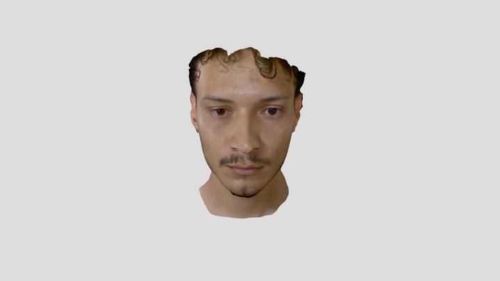 dmpareja 3D Model