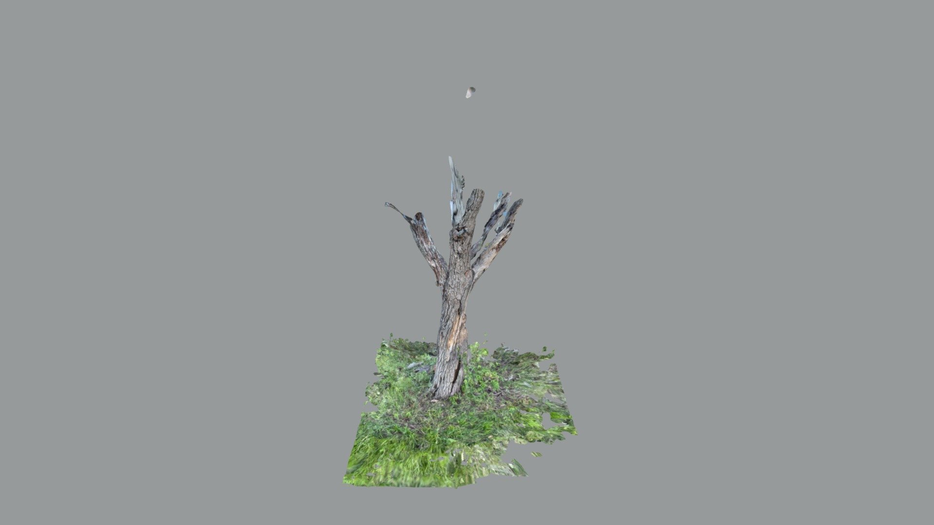 Tree Test